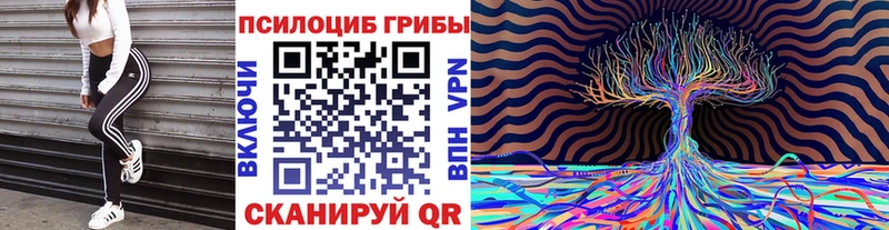 Псилоцибиновые грибы GOLDEN TEACHER  наркотики  Волхов 