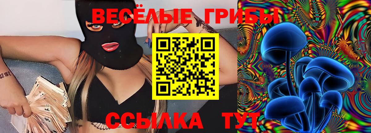 Галлюциногенные грибы Psilocybine cubensis Волхов