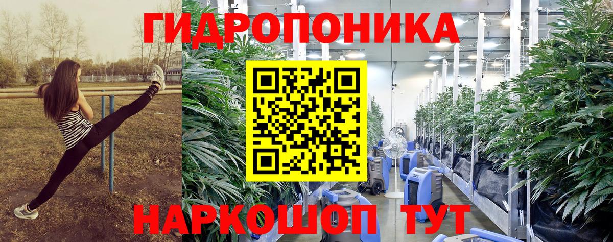 Марихуана конопля  Вход с VPN  Шишки марихуана Amnesia  Волхов 